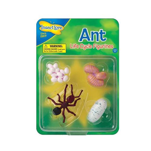 figurines métamorphose fourmis