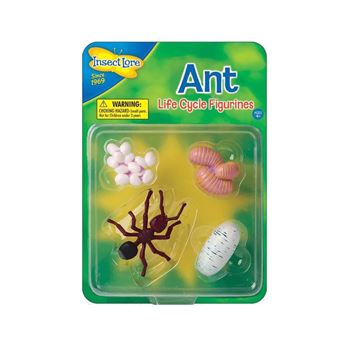 insectlore - figurines métamorphose fourmis - 1