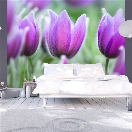 Papier peint Tulipes violettes au printemps-Taille L 250 x H 193 cm