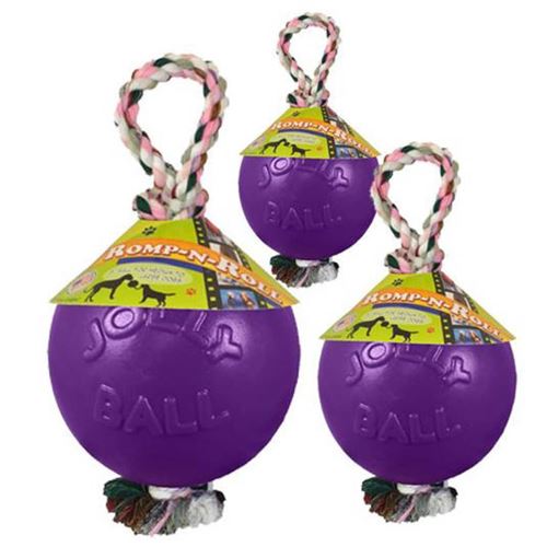 Meilleurs prix pour Jolly Pets Balle pour chiens Romp-n-Roll 20 cm Violet