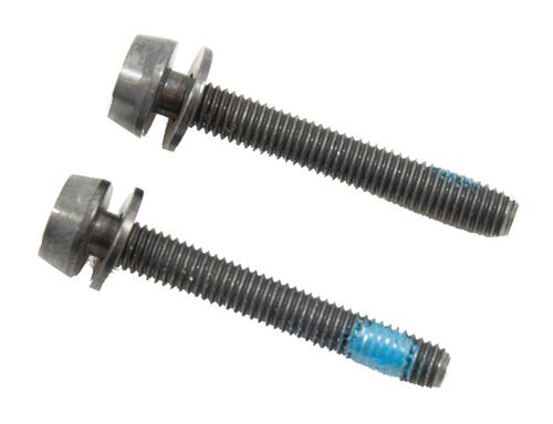 Campagnolo boulons pour étrier de frein à disque arrière 39 mm 2 pièces