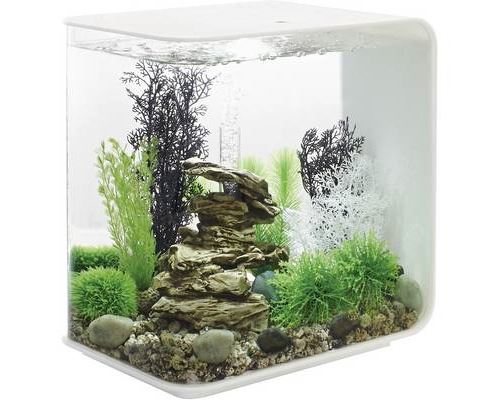 Aquarium 30 l Oase 72034 avec éclairage LED