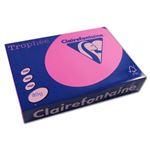 CLAIRFTN R/500F TROPH 80G A4 FUSCH 1771