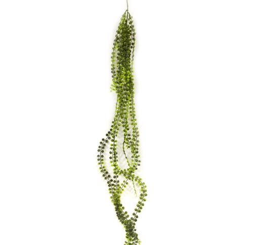 Lot de 12 Chutes de feuillage larmes d'ange coloris vert foncé