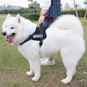 Harnais Pour Chien Facilement Réglable Pour Grand Chien