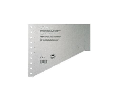 Leitz Intercalaires-Échelon, Format A4 Extra Large, Gris