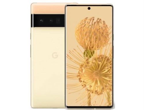 Pixel 6 Pro