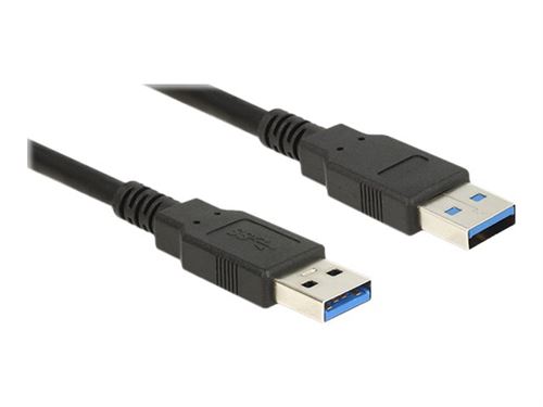 Delock - Câble USB - USB type A (M) pour USB type A (M) - USB 3.0 - 1 m - noir