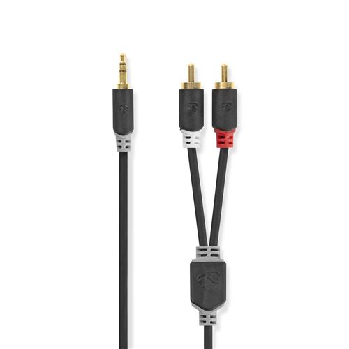 Non Communiqué Câble Audio Stéréo 3,5 Mm Mâle - 2X Rca Mâles 2,0 M Anthracite