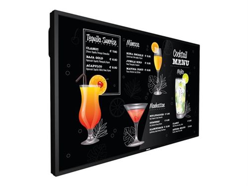 Philips 65BDL3017P - Classe de diagonale 65 P-Line écran LCD rétro-éclairé par LED - signalisation numérique - 4K UHD (2160p) 3840 x 2160
