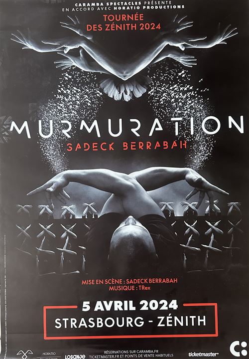 Affiche - Sadeck Berrabah - Murmuration - 80x120cm