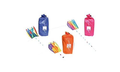 Cerf volant kite