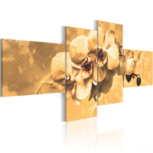 Tableau - Orchidées en sépia .Taille : 100x45