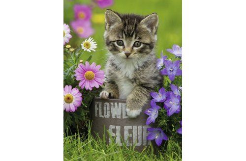 Puzzle XXL Enfant 100 Pieces Chaton Dans Les Fleurs - Chat - Animaux - Ravensburger