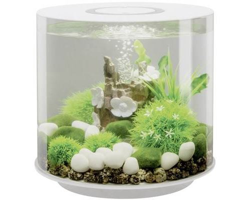 Comparer les prix de Aquarium 15 l Oase 72063 avec éclairage LED