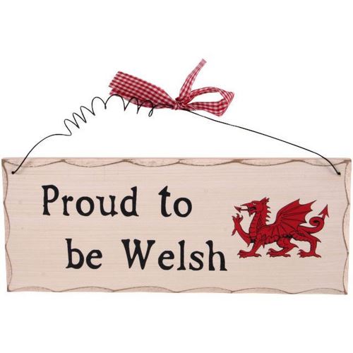 Something Different - Plaque décorative 'Proud To Be Welsh' (Taille unique) (Multicolore) - UTSD271