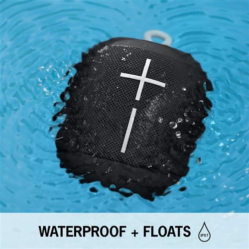 wonderboom neon forest