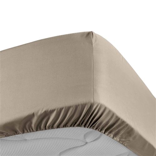 Drap housse 180x200 cm - Percale 100% coton - Bonnet 30 cm Sable