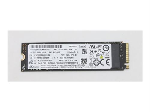 SSD SK Hynix PC300 256 Go Chiffré M.2