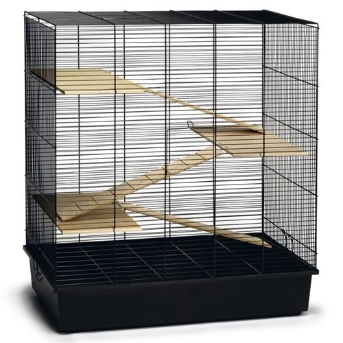Comparer les prix de Beeztees Cage pour rongeurs Scooby Noir 70x40x78 cm Métal