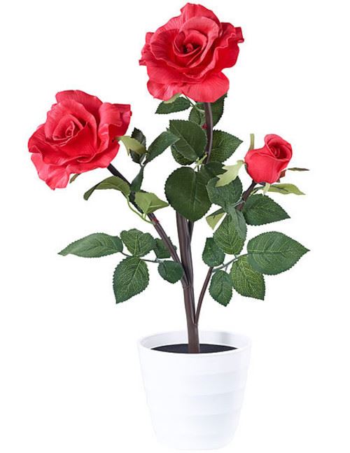 Rosier LED 3 fleurs rouge 50cm