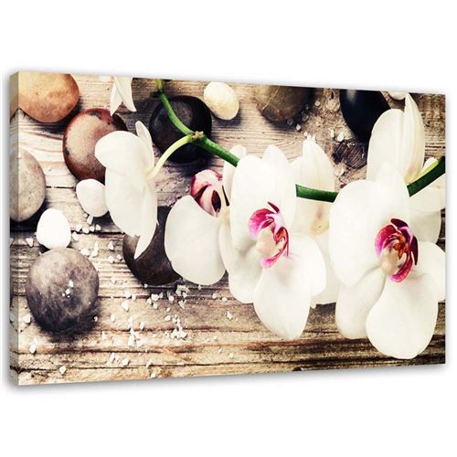 Feeby Tableau sur toile Orchidée pierres Zen Blanc 100x70