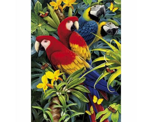 Puzzle 3D - 1000 pièces : Les perroquets