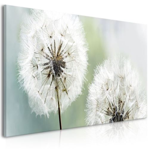 Tableau - Fluffy Dandelions (1 Part) Green Wide .Taille : 100x45