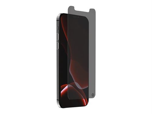 Force Glass - Protection d'écran pour téléphone portable - 2.5D - verre -  fumé - pour Apple iPhone 12 mini - Protection d'écran pour smartphone -  Achat & prix