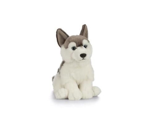 Peluche chien Husky 22 cm - AN461