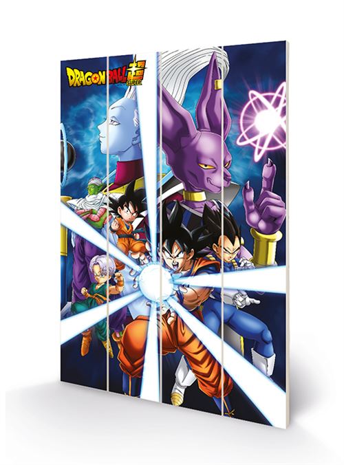 DRAGON BALL Z - God of Destruction - Impression sur bois 40x59cm