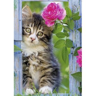Puzzle Adulte Chat Au Fond Du Jardin 1000 Pieces Animaux Nathan 1000 Pieces Achat Prix Fnac Puzzle Adulte Chat Au Fond Du Jardin 1000 Pieces Animaux Nathan 1000 Pieces Achat Prix Fnac