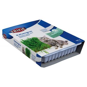 Herbe à chat, barquette de 100g - Trixie - TR-4235 - 1