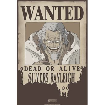ABYstyle - One Piece - Poster - Wanted Rayleigh (52x35) - Achat & prix