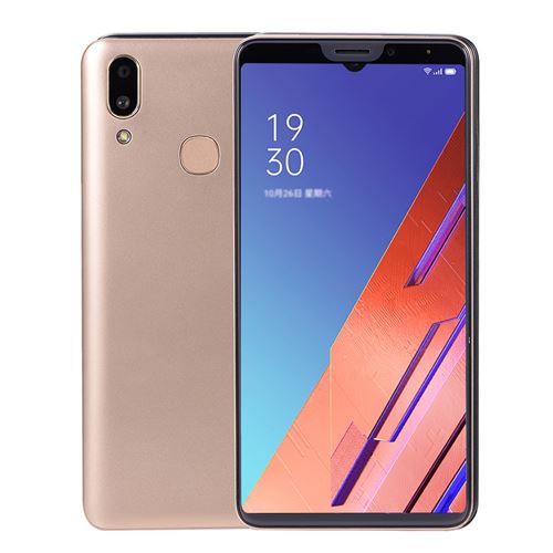 Smartphone X21 6,1 pouces HD 2 Go + 16 Go Quad Core 3G Face d'or