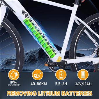 Batterie Vélo Lithium 36V Pour Vélos Electriques