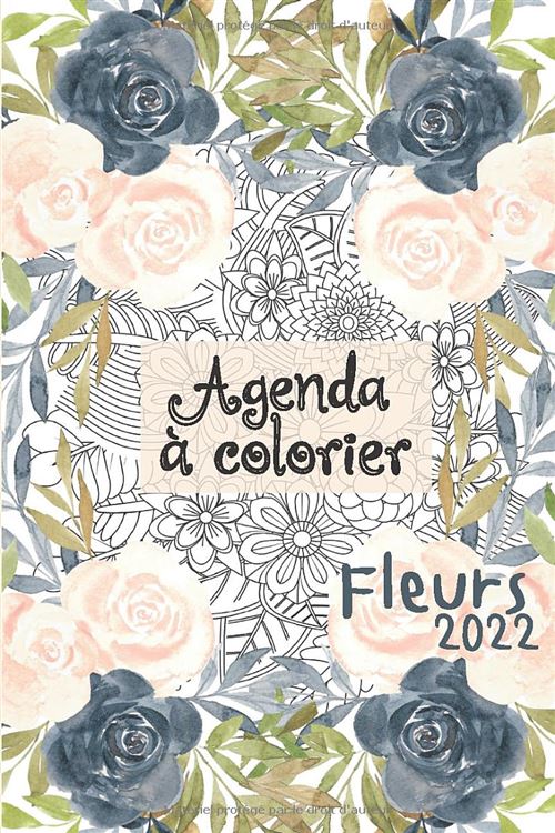 Agenda civil 2022 à colorier Fleurs - Grand format 15,24 x 22,86 cm - 167 pages - Semainier