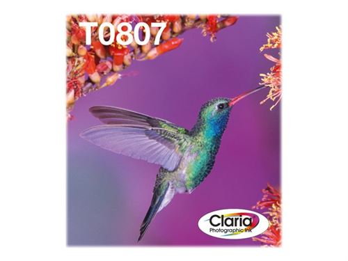 EPSON EasyMail Multipack Colibri T0807