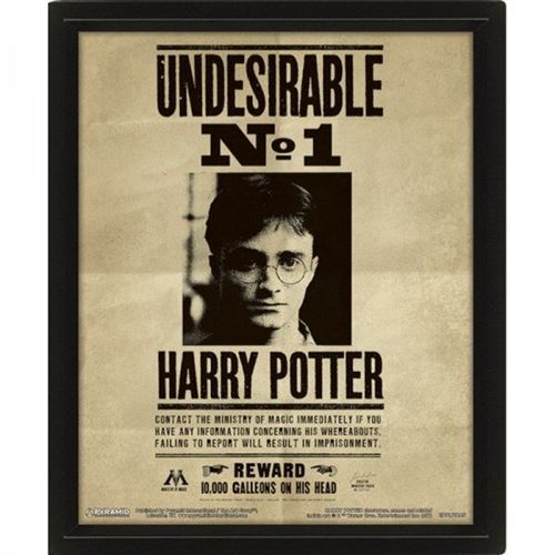 Cadre 3D - Harry Potter - Sirius