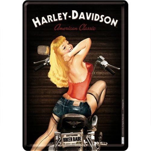 Petite plaque métallique Harley Davidson