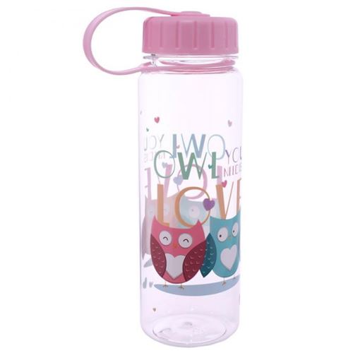 Bouteille d'eau de 500ml - Couple de chouette