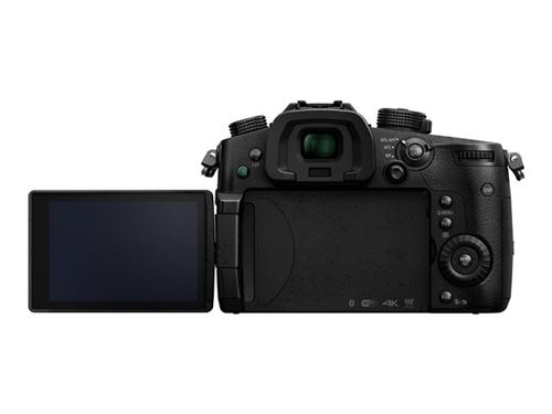 Panasonic DC-GH5L