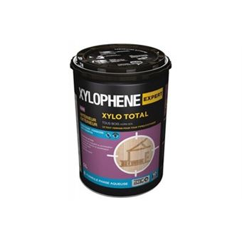 Traitement bois, Protection contre insectes, xylophène et champignons