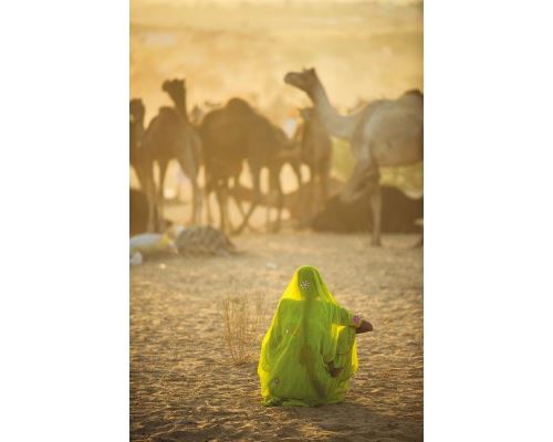 CLEMENTONI Puzzle 1000 Pi&egrave;ces : National Geographic - Sari,  