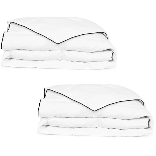 vidaXL Couette en duvet d'hiver 2 pcs 135 x 200 cm