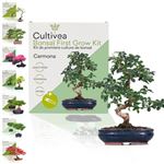 CULTIVEA® Kit Sacs De Culture – Prêt à Pousser - Graines Françaises 100% Écologiques Et