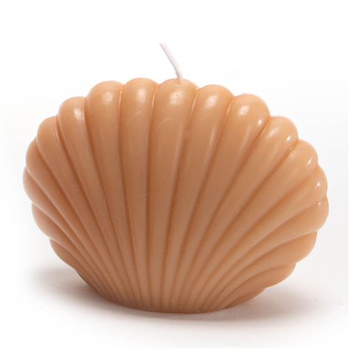Non Communiqué Beige Bougie Coquillage Nude (Lot De 8) - Amadeus - Cire