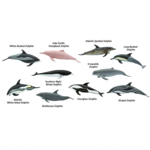 Safari jeu Toob dolphins junior grey 10-pièces