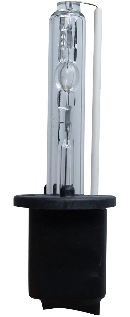 TOM Lampe au xénon H1 12 Volt 45 Watt 6000K blanc chaque