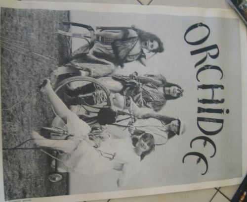ORCHIDEE - 50x70 cm - AFFICHE / POSTER